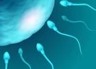 sperm şekil morfoloji bozukluğu 