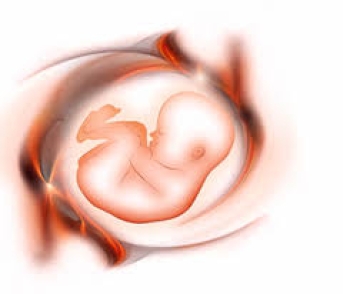 İnfertilite Nedir?