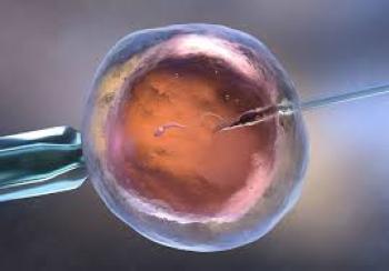 Cost of Ivf Turkey