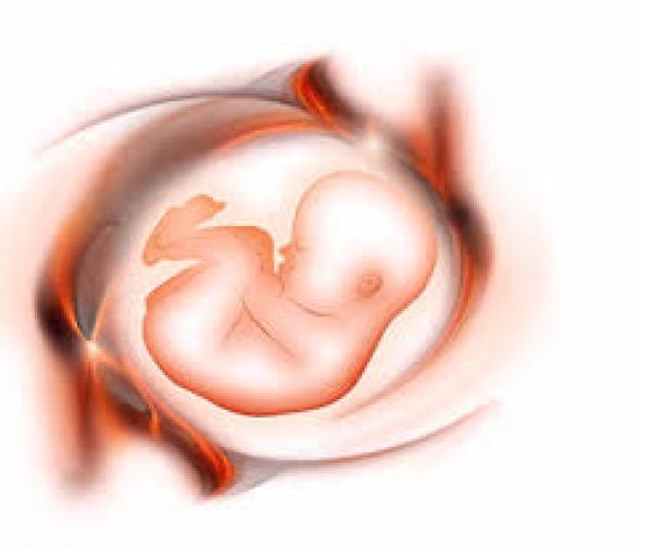 İnfertilite Nedir?